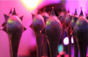 Media Awards 2016: The Shortlist