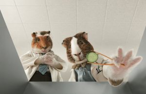 Boys and Girls Launch New €2m Campaign for Energia