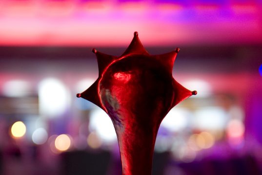 Media Awards 2017 Set for April 20th