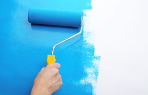 Insight of the Week: The Home Improvers