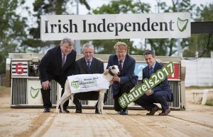 Irish Independent Renews Greyhound Sponsorship