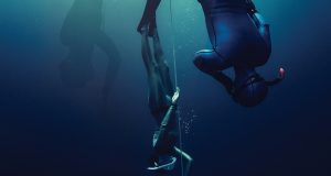 The Race to the Bottom