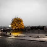 shutterstock_343366895