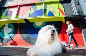 MediaCom Retains AzkoNobel Decorative Paints Account