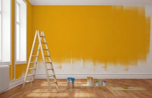 Insight of the Week: Targeting the Home Improvers