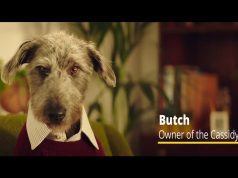 Ad of the Week: Javelin launch the AA campaign “Who’s Got Clever Home Insurance” with Butch Cassidy