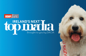 Dacia Ireland Gains from Canine Sponsorship