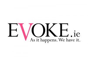 EVOKE.ie Survey Panel Increases to Over 3,500
