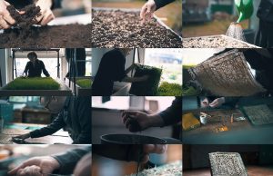 Rothco Creates a World First as it Publishes Book Grown From Grass Roots