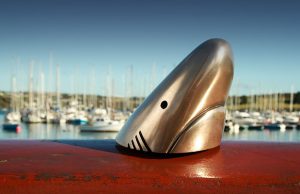 Kinsale Shark Awards Announce Extension of Deadline to September 6th Kinsale Shark Awards Announce Extension of Deadline to September 6th
