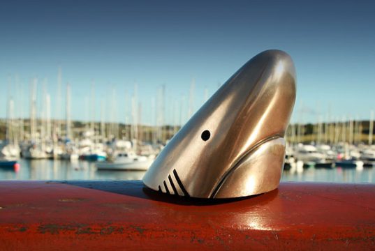 Kinsale Shark Awards Announce Extension of Deadline to September 6th Kinsale Shark Awards Announce Extension of Deadline to September 6th