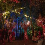 Verve Bags 16 Nominations in APMC Star Awards 2020