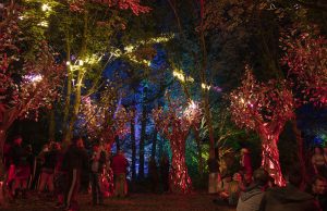 Verve Bags 16 Nominations in APMC Star Awards 2020 Verve Bags 16 Nominations in APMC Star Awards 2020