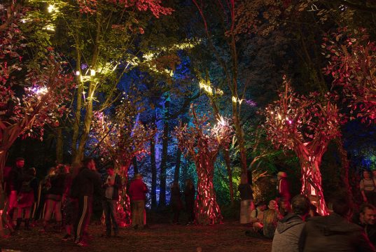 Verve Bags 16 Nominations in APMC Star Awards 2020 Verve Bags 16 Nominations in APMC Star Awards 2020