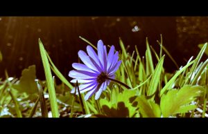 CPI Launches Collaborative Film to Inspire Hope