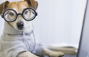 Marketing Soc’s Future Council to Host First Online Event