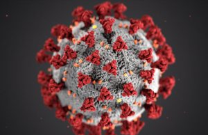 Optimism Reaches All-Time High According to Latest Core Research