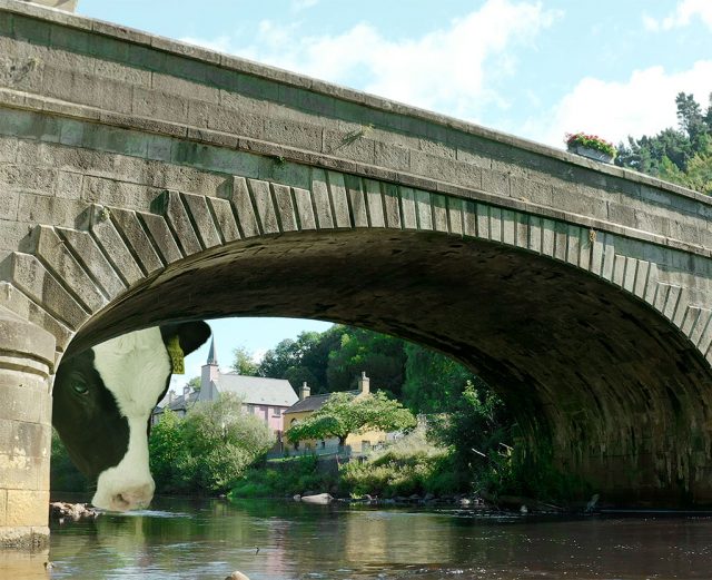 The Public House Launches New Campaign for FBD Insurance