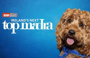It’s a Dog’s Life as Ireland’s Next Top Madra Goes Online