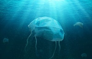 Cross-Atlantic Idea from Connelly Partners Dublin goes live in 30 US Markets