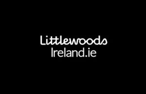 Boys+Girls Win Littlewoods Ireland Account