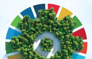 DMG Media Wins Chambers Ireland Sustainable Business Impact Award