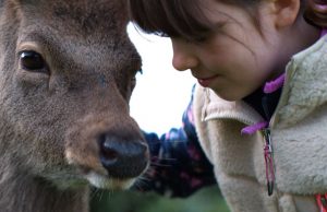 SuperValu Shares the Magic With Latest Christmas Campaign