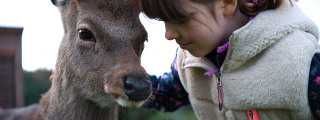 SuperValu Shares the Magic With Latest Christmas Campaign