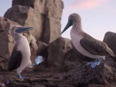 BBDO Dublin Rolls Out First Campaign for Chill Insurance