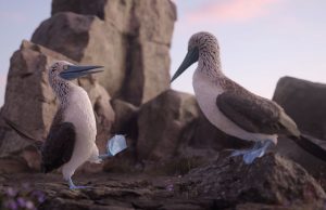 BBDO Dublin Rolls Out First Campaign for Chill Insurance