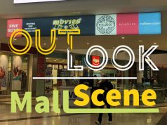 Mall Scene – More than Shopping Centres