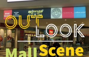 Mall Scene – More than Shopping Centres