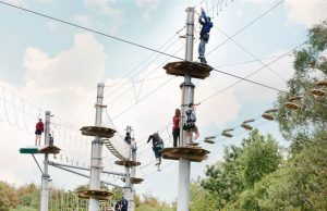 The Public House Rolls Out New Campaign for Wildlands