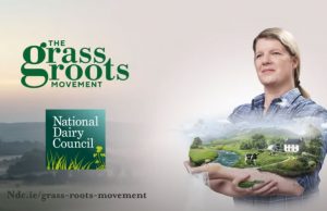 The Brill Building Rolls Out New Campaign for NDC