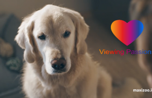 Sky Media Launches Targeted Offering Based on Viewers Passions