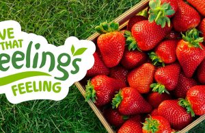 Thinkhouse Wins Three Way Pitch for Keelings