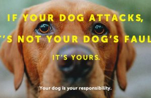 Javelin Launches Campaign to Promote Responsible Dog Ownership
