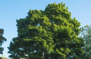 New Campaign from TBWA Shows that Refugees Don’t Need More Barriers