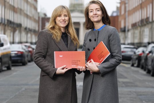 IAPI Outlines New Three Year Strategy Plan