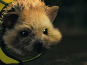 Ardmore Group Campaign Highlights the Benefits of Being Seen