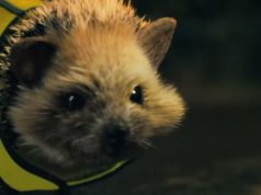 Ardmore Group Campaign Highlights the Benefits of Being Seen