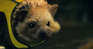 Ardmore Group Campaign Highlights the Benefits of Being Seen