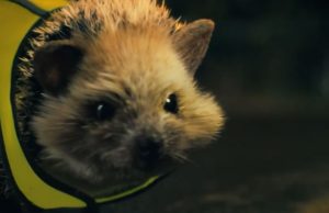 Ardmore Group Campaign Highlights the Benefits of Being Seen