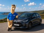Insurer Lets Loose No Drama Llama as Part of New Campaign