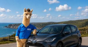 Insurer Lets Loose No Drama Llama as Part of New Campaign