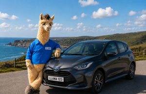 Insurer Lets Loose No Drama Llama as Part of New Campaign