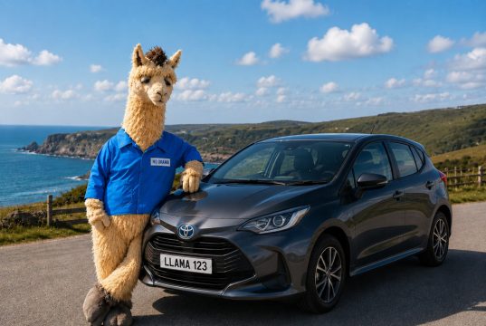 Insurer Lets Loose No Drama Llama as Part of New Campaign