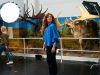 Ulster Museum Reclaims Familiar Put-Down in New Big+Bold Campaign