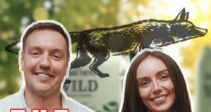 The Irish Marketing Podcast: The Growth of the Creator Economy