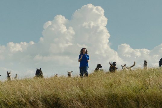 Tesco Celebrates the Little Helps in New Campaign from BBH Dublin
